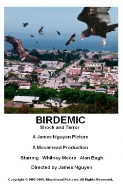 Poster Birdemic: Shock and Terror
