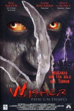 Poster Pide un Deseo