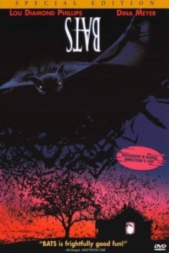 Poster Bats