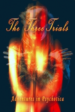 Poster The Three Trials