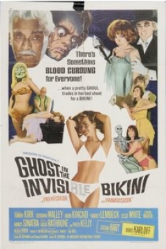 Poster The Ghost In The Invisible Bikini