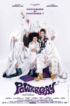 Poster Poltergay