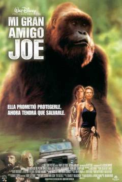 Mi Gran Amigo Joe — póster