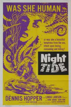 Poster Marea nocturna