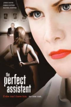 Poster La Ayudante Perfecta