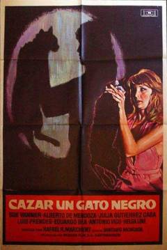 Poster Cazar un Gato Negro
