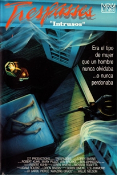Poster Intrusos