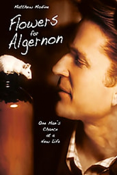 Ficha Flores para Algernon