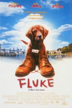 Ficha Fluke