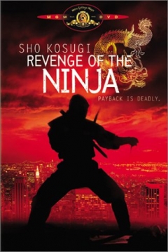 Poster La Venganza del Ninja