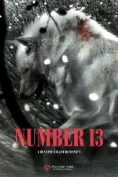 Poster Number 13