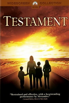 Ficha Testamento Final
