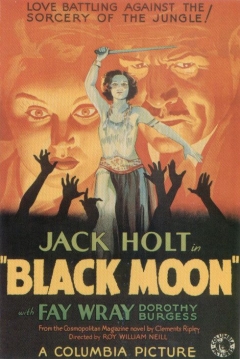 Poster Black Moon