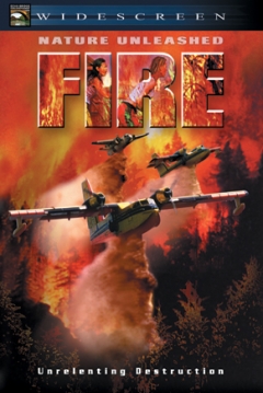 Poster Fire: Atrapados por la Muerte
