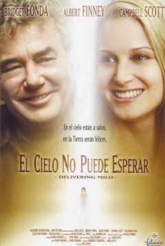 Poster El Cielo no Puede Esperar