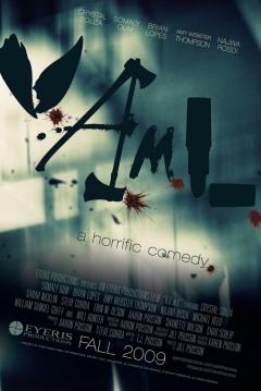 Poster VAmL