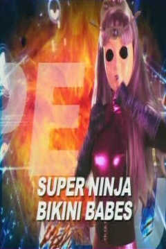 Ficha Super Ninja Bikini Babes