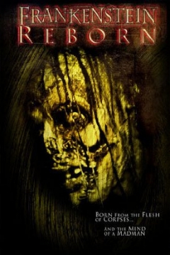 Póster de Frankenstein Reborn