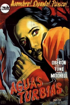 Poster Aguas Turbias