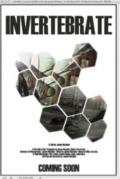 Poster Inverterbrate