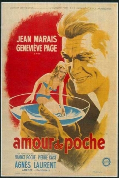 Poster Un amour de Poche