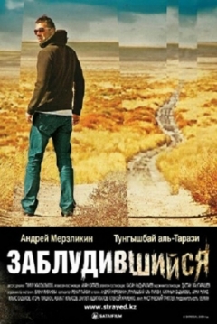 Poster Strayed