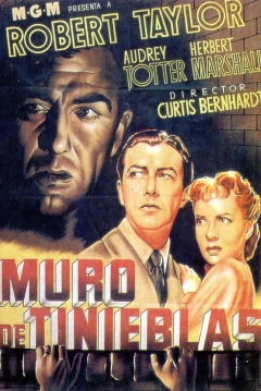 Ficha Muro de Tinieblas