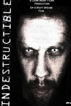 Poster Indestructible