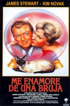 Poster Me Enamoré de una Bruja