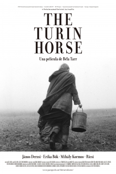 Ficha El Caballo de Turín