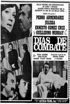Poster Dias de Combate