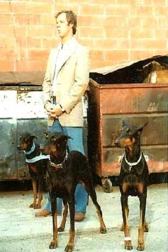 Poster Alex y el Clan de los Doberman