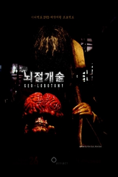 Poster Geo-Lobotomy