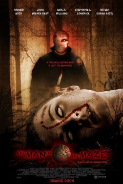 Poster The Man in the Maze