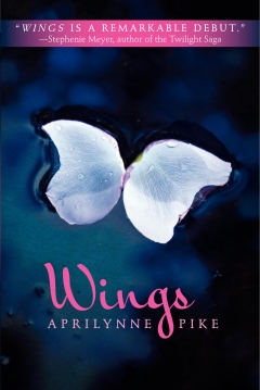 Poster Wings