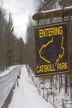 Poster Catskill Park