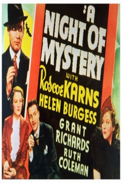 Poster Night of Mystery