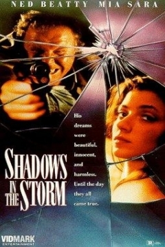 Poster Sombras en la Tormenta