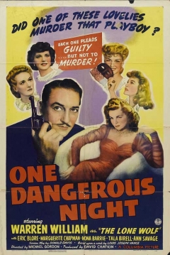 Poster One Dangerous Night