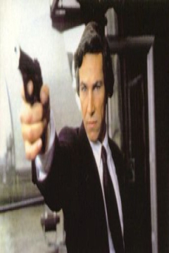 Poster The Saint: The Software Murders
