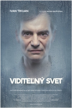 Poster Visible World