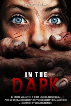Poster In the Dark