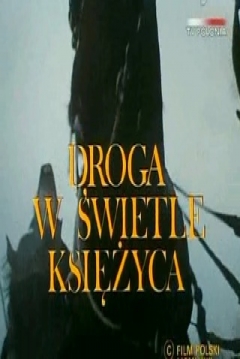 Poster Droga w Swietle Ksiezyca