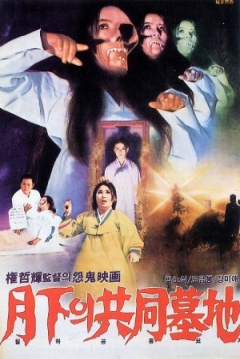 Poster El Cementerio Público de Wolha