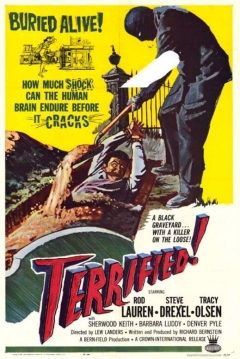 Poster Terrified