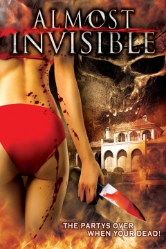 Poster Almost Invisible