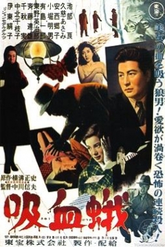 Poster Vampire Moth