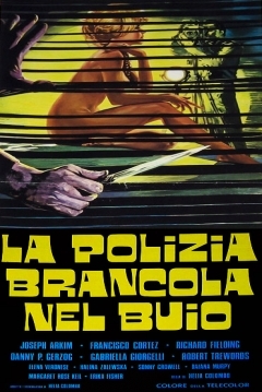 Poster La Policía Busca en la Oscuridad