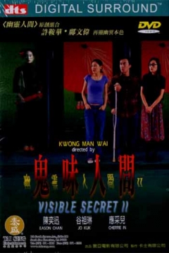 Poster Visible Secret 2