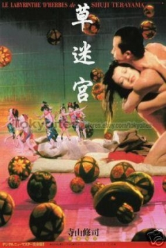Poster Grass Labyrinth